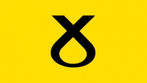 SNP Band Flag