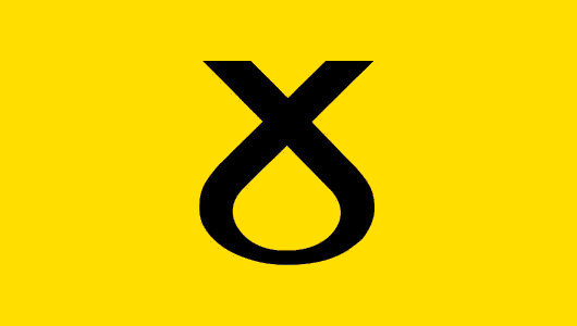 SNP Band Flag
